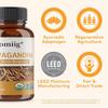 Integratori Estratti Erbali Capsula Vegetale (Ipromellosa) 120 capsule per flacone