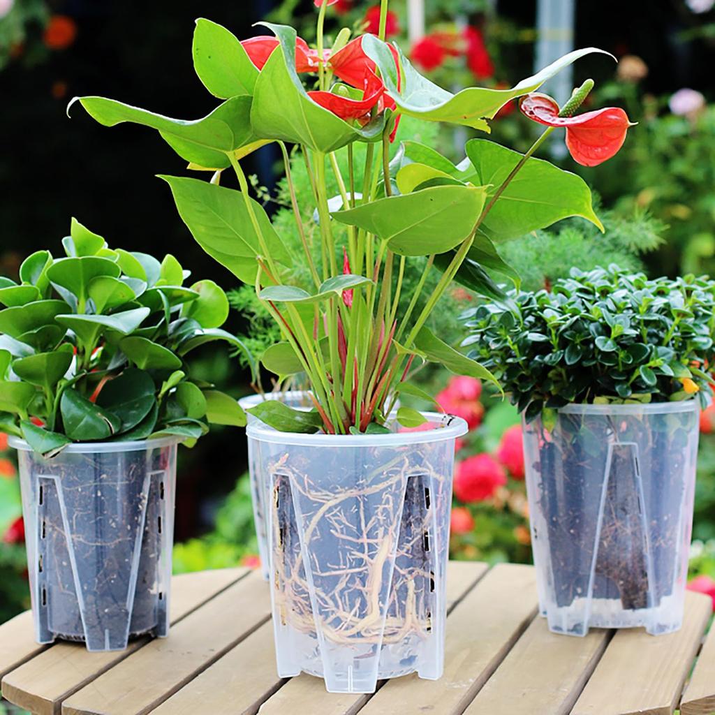 Orirya Flower Slit Potted with Orchid with Phalaenopsis Seedling Gardening 16cm Planter, Pot, Plastic, Pot, Transparent, Houseplant, Succulent, Plant,