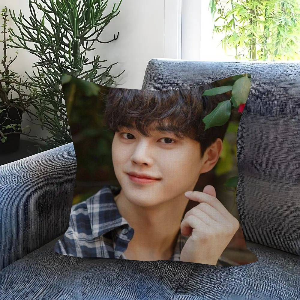 Kpop Actor Hot SSong Kang Pillow Gift Home Office Decoration Bedroom Sofa Car Cushion Cover case 45x45