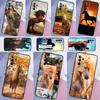 Coque de téléphone Animal Cheval Pour Samsung Galaxy A54 A34 A14 A13 A23 A33 A53 A73 A12 A22 A32 A52 A71 A51