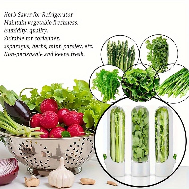 1/2pcs Vegetables Preservation Pod Herb Preservation Vegetables Fresh Coriander Container Suitable For Refrigerator, Keep Bottle Herb Preservation