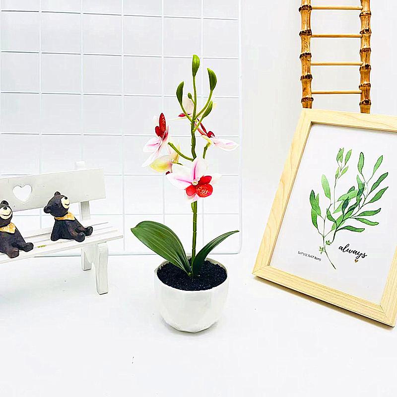 Simulated Phalaenopsis Potted Artificial Artificial Flower For Indoor Outdoor Decoration And Photography Use