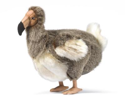 Dodo 5028 Nr.
