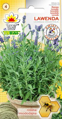 Lavender 0.2g Flower Seeds for the Garden, Large Yields