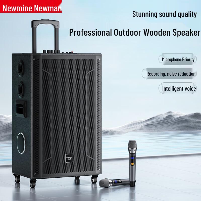 Newsmy N538 15-inch Portable Bluetooth Trolley Speaker CN plug (adapter included) (CN version)