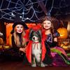 Holiday Pet Vampires Cloak Halloween Pet Costume With Adjustable Neck Tie For Small To Large Dog Festival Dressingup Capes