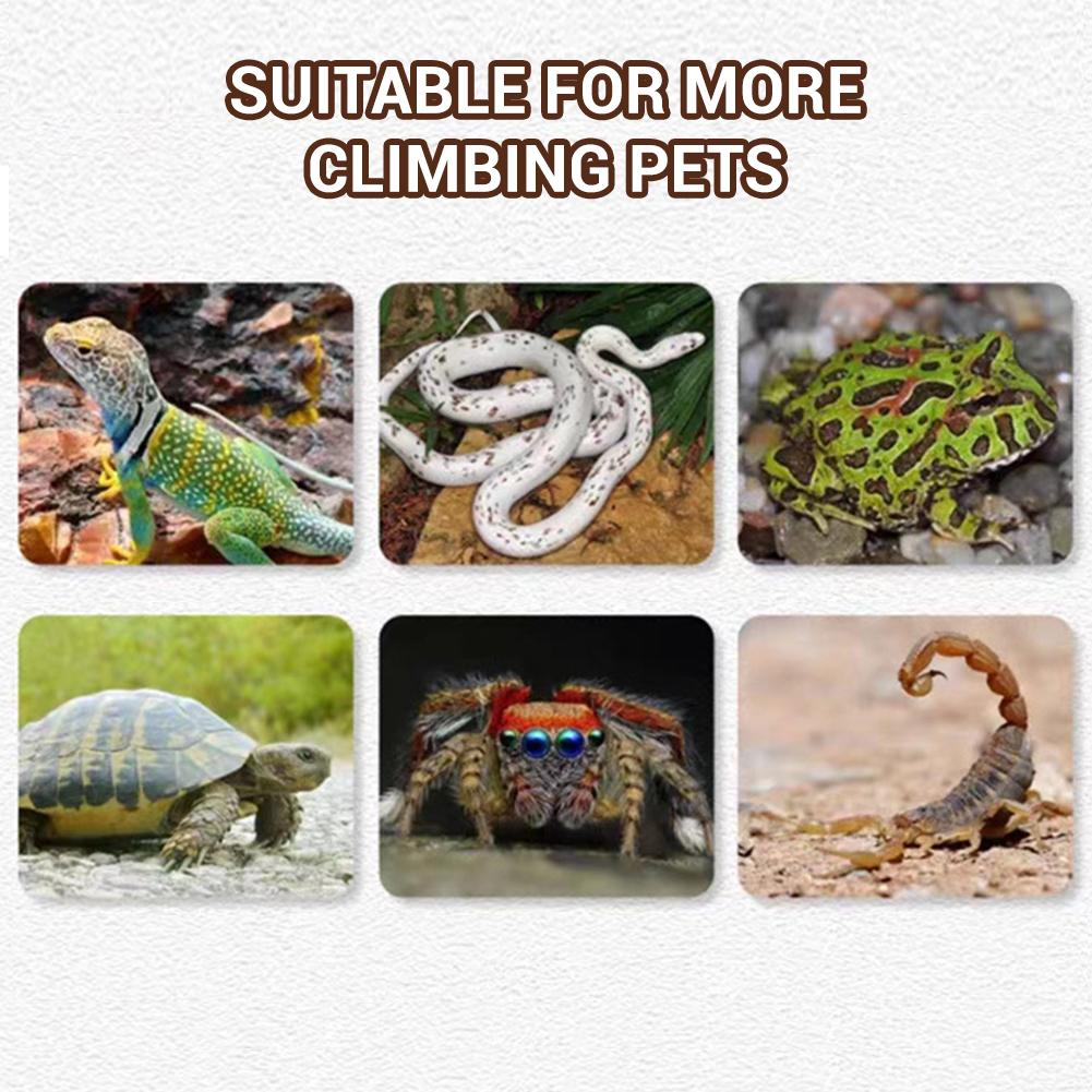 Reptile Hideout Cave, Resin Rock Hides Habitat, Fish Tank Landscape Decor, Fish Shrimp Shelter, Aquarium Ornaments For Lizards Turtles Tortoise