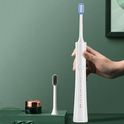 Spazzolino elettrico con 5 testine 6 modalità di pulizia timer intelligenti IPX7 impermeabile USB ricaricabile da viaggio uomo donna adulto spazzolino da denti