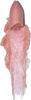 LAVERA Shimmering Lipstick Candy Quartz ROSEWATER 01