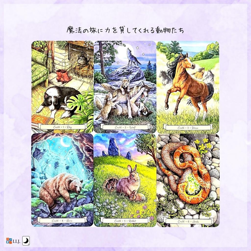 I.I.J Oracle Cards Everyday Witch's Familiars Oracle English Affirmations Fortune Telling Authentic Product