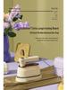 Compact Folding Garment Steamer & Iron