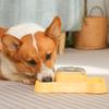 Pet Dog Treat Dispenser, Food Bowl, Push Button Slow Feed Puzzle Toy, Feeder