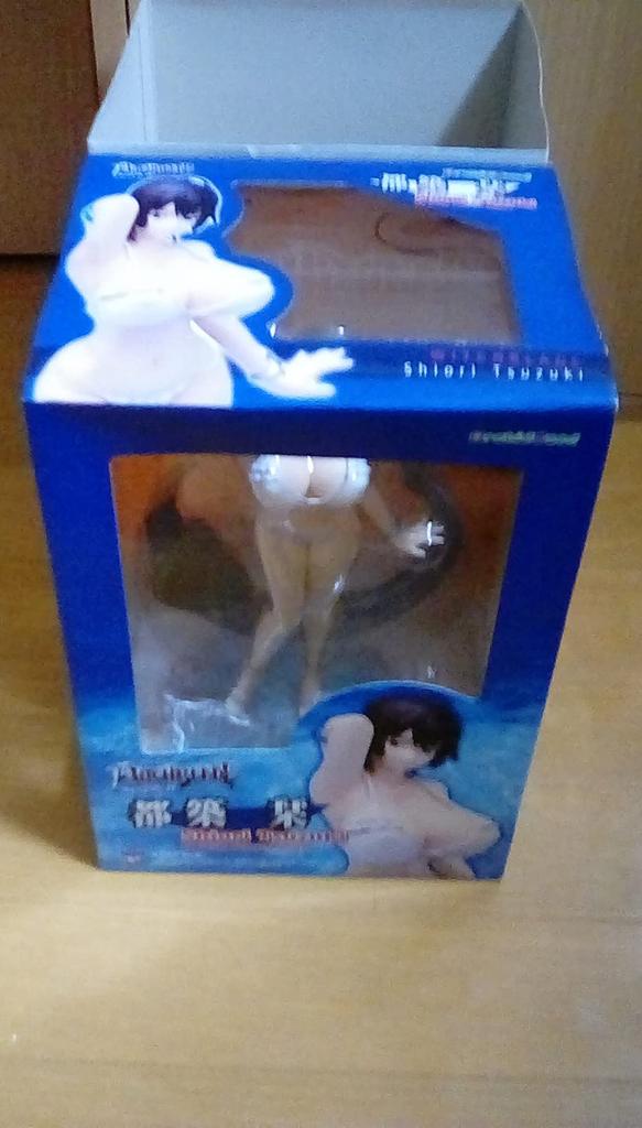 Witchblade Tsuzuki Shiori Scale PVC Painted Finished (1/7 Product)