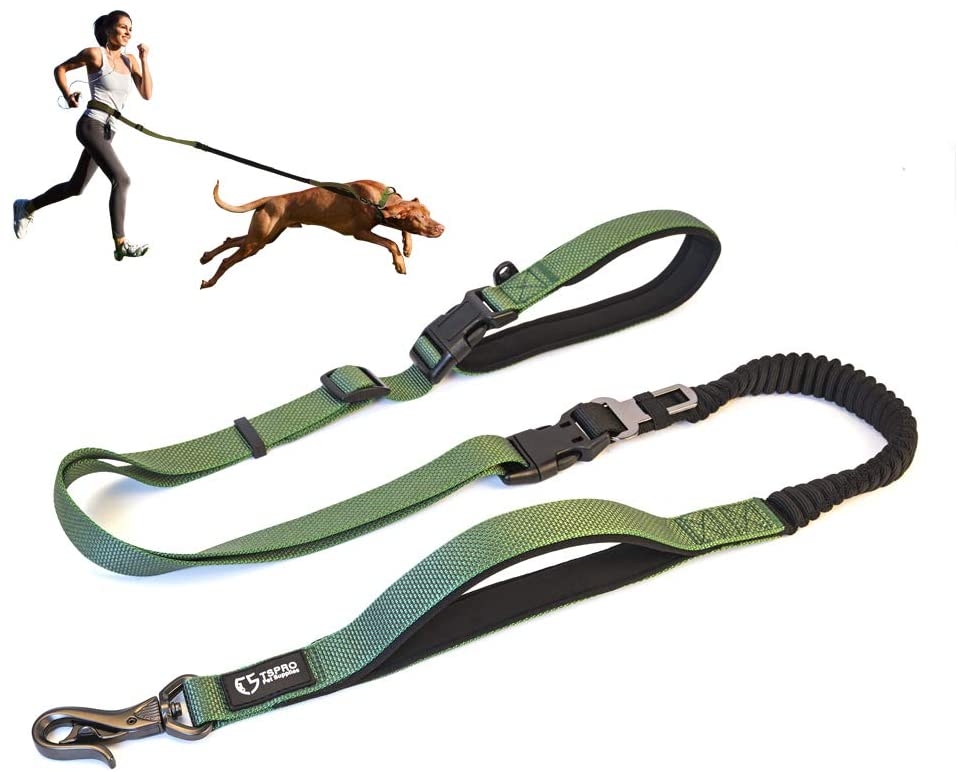 Shock‑Absorbing Bungee Hands‑Free Dog Leash Waist Belt Adjustable Nylon Pet Lead For Jogging Running Walking Large Medium Dogs
