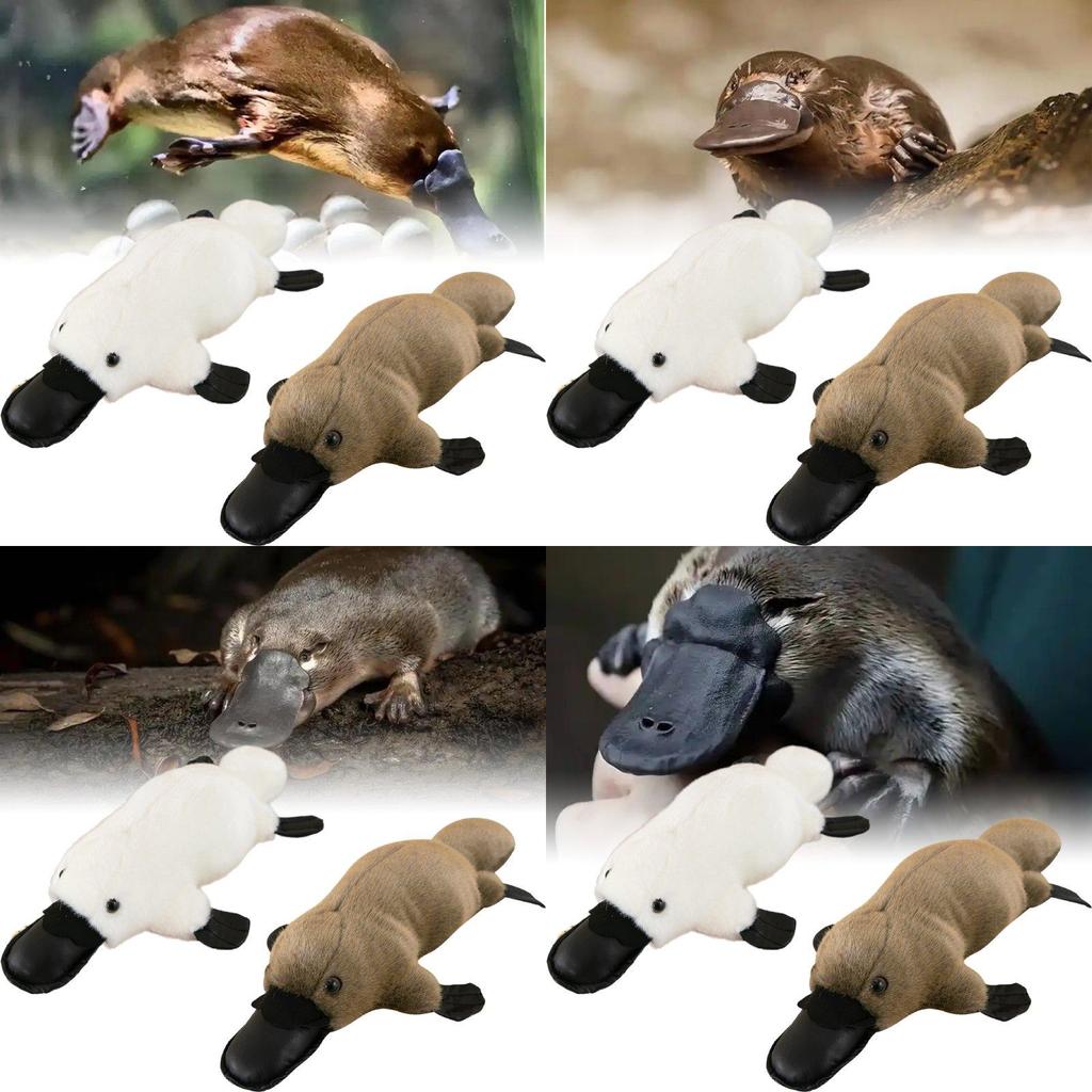 Soft And Cuddly Platypus Plush Toy For Kids Ideal Comforting Buddy And Car Decor
