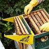 Beehive Frame Holder, Bee Hive Stand, Metal Beehive Frame Perch, Beekeeping Beehive Inspection Bracket, Bee Hives Boxes Starter Kit for Beekeeping