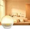 Multi-function Alarm Clock with Simulated Dawn, Light Alarm Clock, 7 Sounds, FM Radio, Help To Fall Asleep