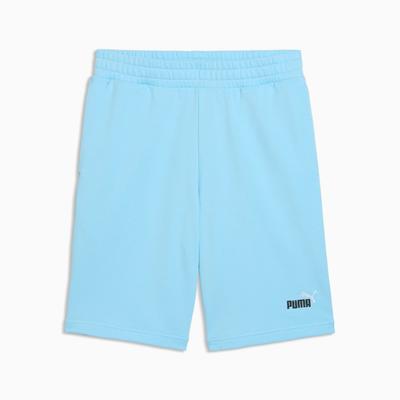 Puma ESS 2 COLOR NO.1 LOGO 10" TR Men's Shorts Blue 68471545 R M