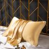 Heavyweight 100% Mulberry Silk Pillowcase (48x74cm) - Single Person Silk Cover