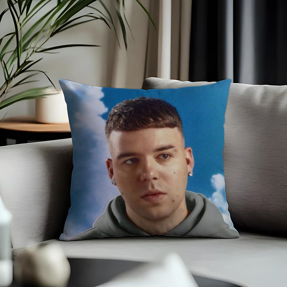 Fashion Qquevadoing Cushion Cover Antidustmite Pillowcase Invisible Zipper Silky Short Plush Sofa Cushion Cover