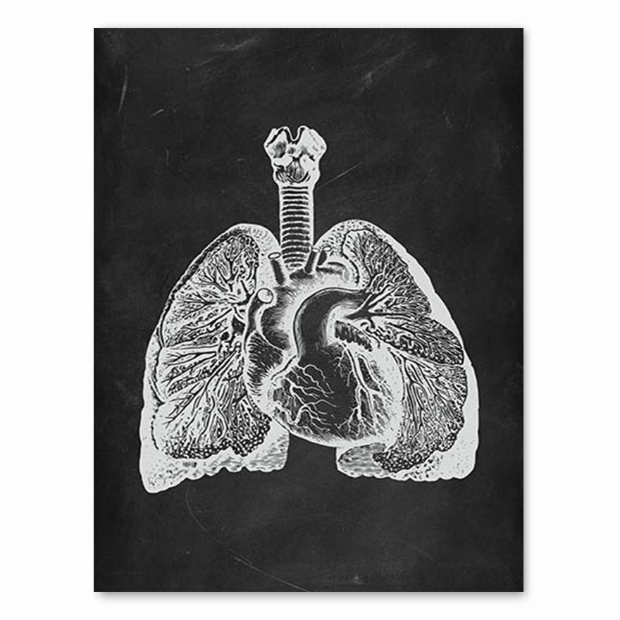 Human Anatomy Artwork Medical Clinic Wall Picture Skeleton Organ Muscle System Vintage Canvas Print Body Education Poster