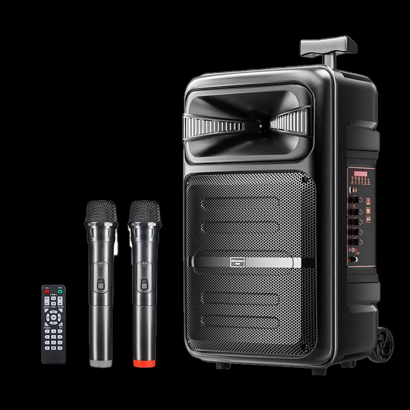 Newmine A12 12-inch Portable Bluetooth Trolley Speaker with Dual Mics