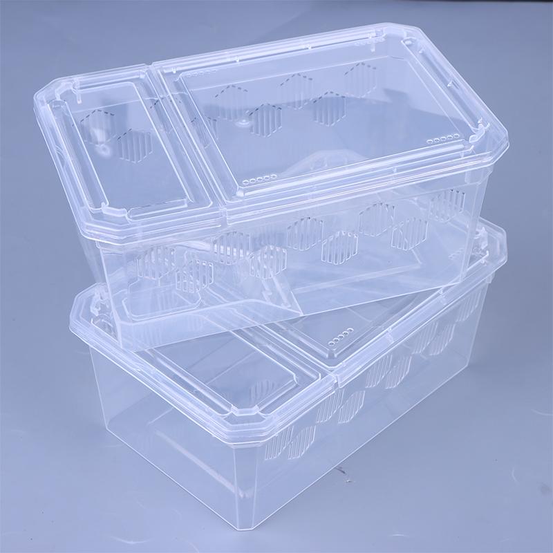 Reptile Tank Insect Spiders Tortoise Lizard Plastic Transparent Reptile Breeding Box Vivarium With Balcony Feeding Supplies