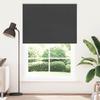 VidaXL Verdunkelungsrollo Schwarz 155x210 cm Stoffbreite 151,6 cm