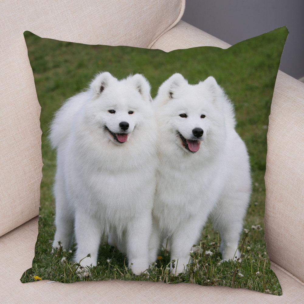 50 Stil Husă de Pernă Câine Alb Drăguț Samoyed Decor Husă de Pernă Animal de Companie Iubitor Husă de Pernă Moale de Pluș pentru Canapé Cameră Copii