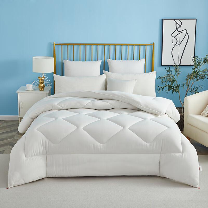 

Hengyuanxiang Feather Velvet Antibacterial Comforter