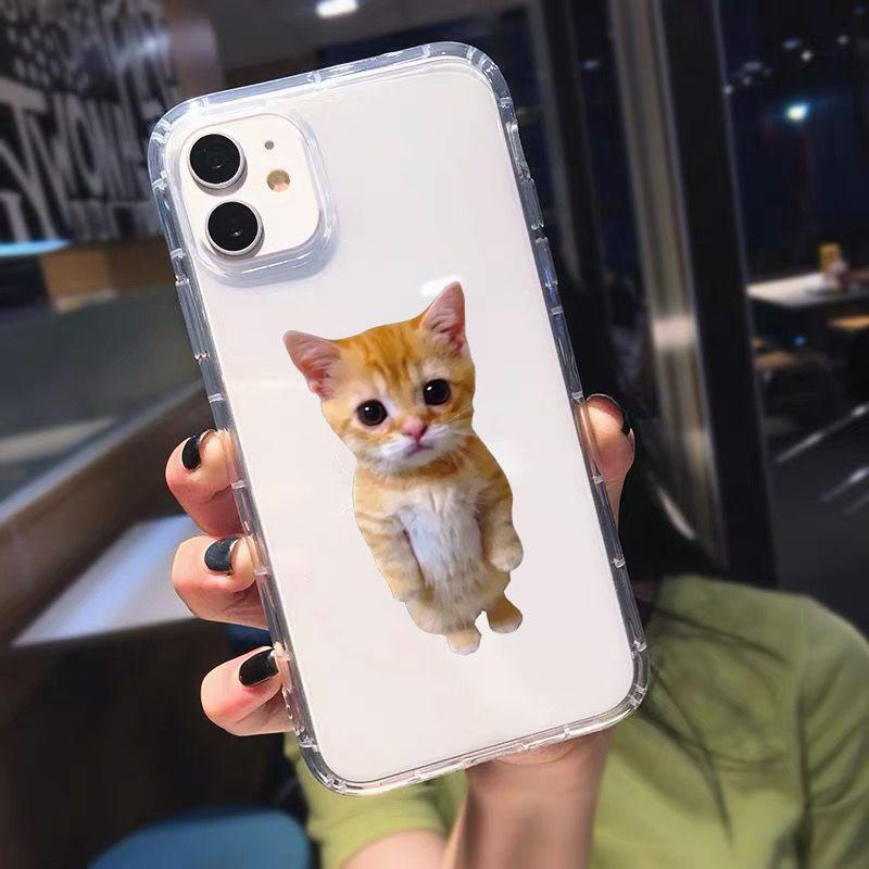 Funny Cat Clear Phone Case for IPhone 13 14 Pro 11 12 15 Pro Max XR XS X 7 8 Plus SE3 Soft Shockproof Cover