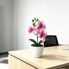 Butterfly Orchid Artificial Plant With Plastic Base For Home Decor And Photography Props
