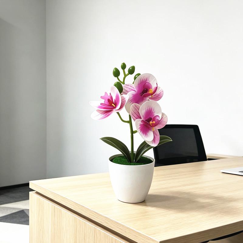 Butterfly Orchid Artificial Plant With Plastic Base For Home Decor And Photography Props