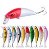 Long-Cast 7cm/7.5g Floating Minnow Lure for Freshwater/Sea Fishing - Ideal for Aspius & Bass