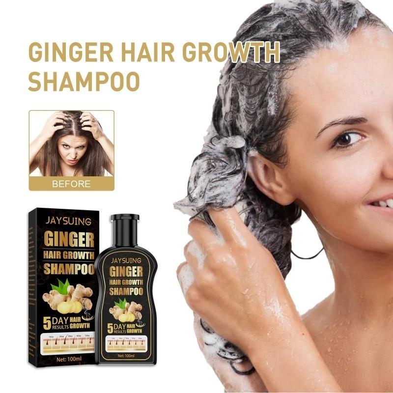 Shampoo allo zenzero Trattamento naturale del cuoio capelluto dei capelli a base di erbe non allergico Controllo dell'olio Crescita dei capelli Shampoo denso anti-perdita di capelli