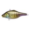 GG Tanning Gill II VIBRATION-X SMATRA(SILENT)