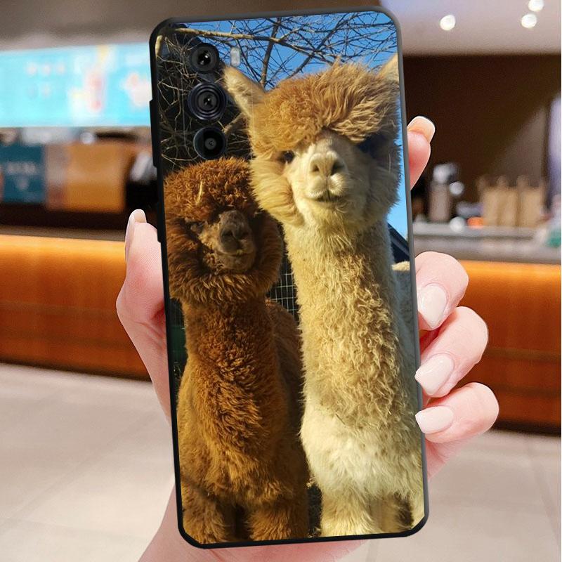 Lama Alpacas Animal Phone Case For Motorola Edge 60 50 40 Pro 60 50 40 30 Ultra Neo Fusion Moto G Play G Stylus G Carcasas