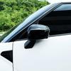 Rear View Mirror Cover Side Rear View Mirrors Cover Car Mirror Covering Cap Protective Caps Compatible with Hyundai Santa Fe 2024-2026