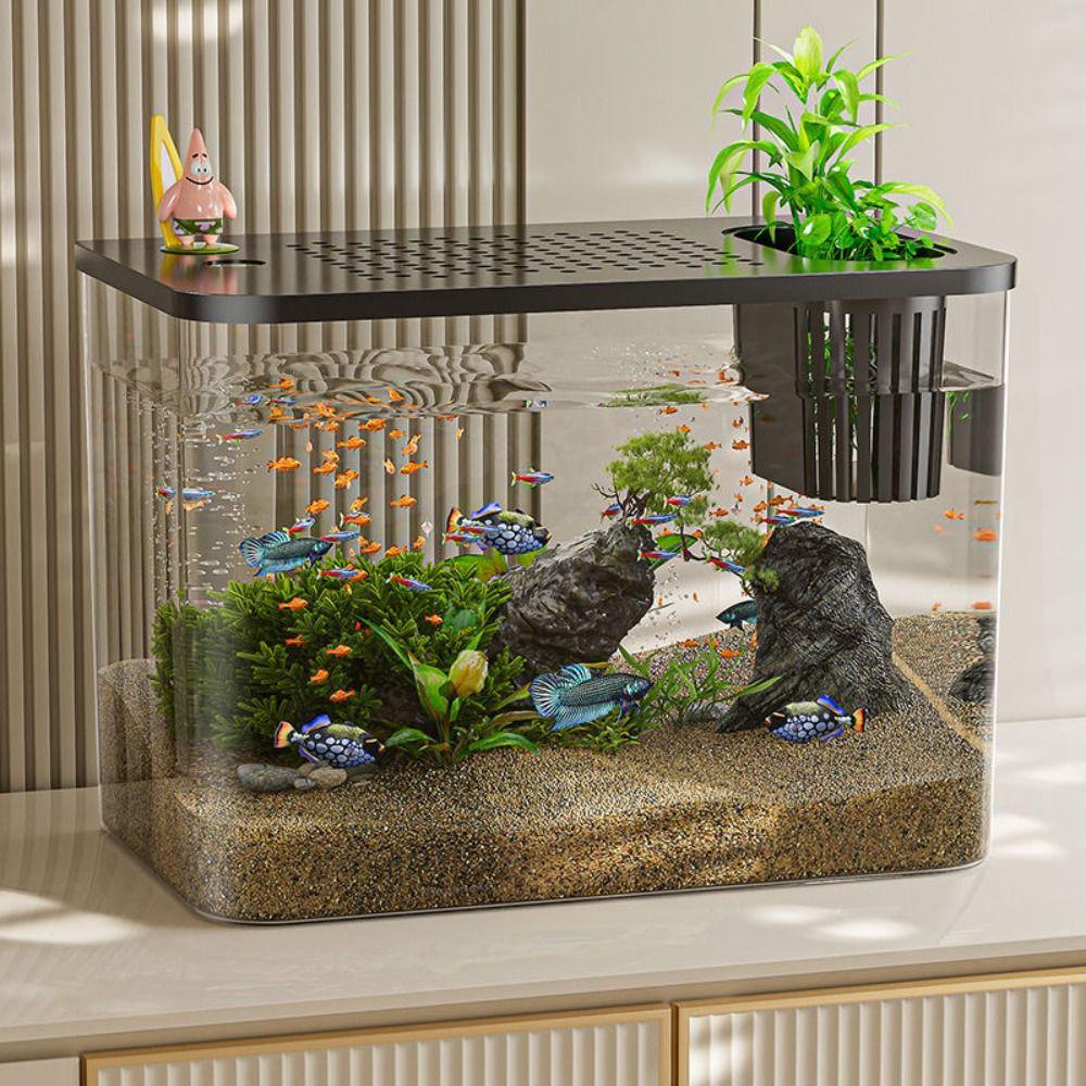 Transparent Desktop Aquarium with Lid Turtle Tank Durable Ecological Water Tank  for Home