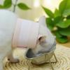 Breathable Dog Cats Recovery Collar Dog Cats Neck Brace Cover for Surgical Wound Protecting and Healing