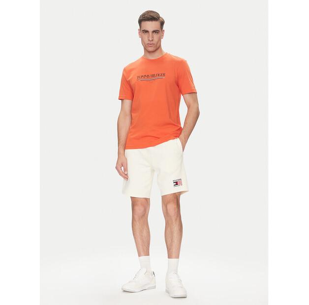 Шорты Tommy Hilfiger American