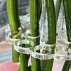 2Pcs Vase Flower Frog Reusable Clear Flower Arrangement Holder Flower Stem Holder Grid for Arranging Flowers Wedding Bridal Shower Party Decor