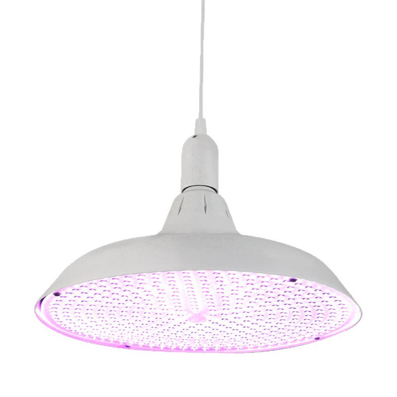 2025 High CRI Invisible Red Light for Fresh & Cooked Food: Enhance Meat, Seafood, Fruits, Vegetables