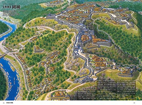 Wide & Panoramic Bird's-Eye View & Reconstruction Illustrations of Japanese Castles