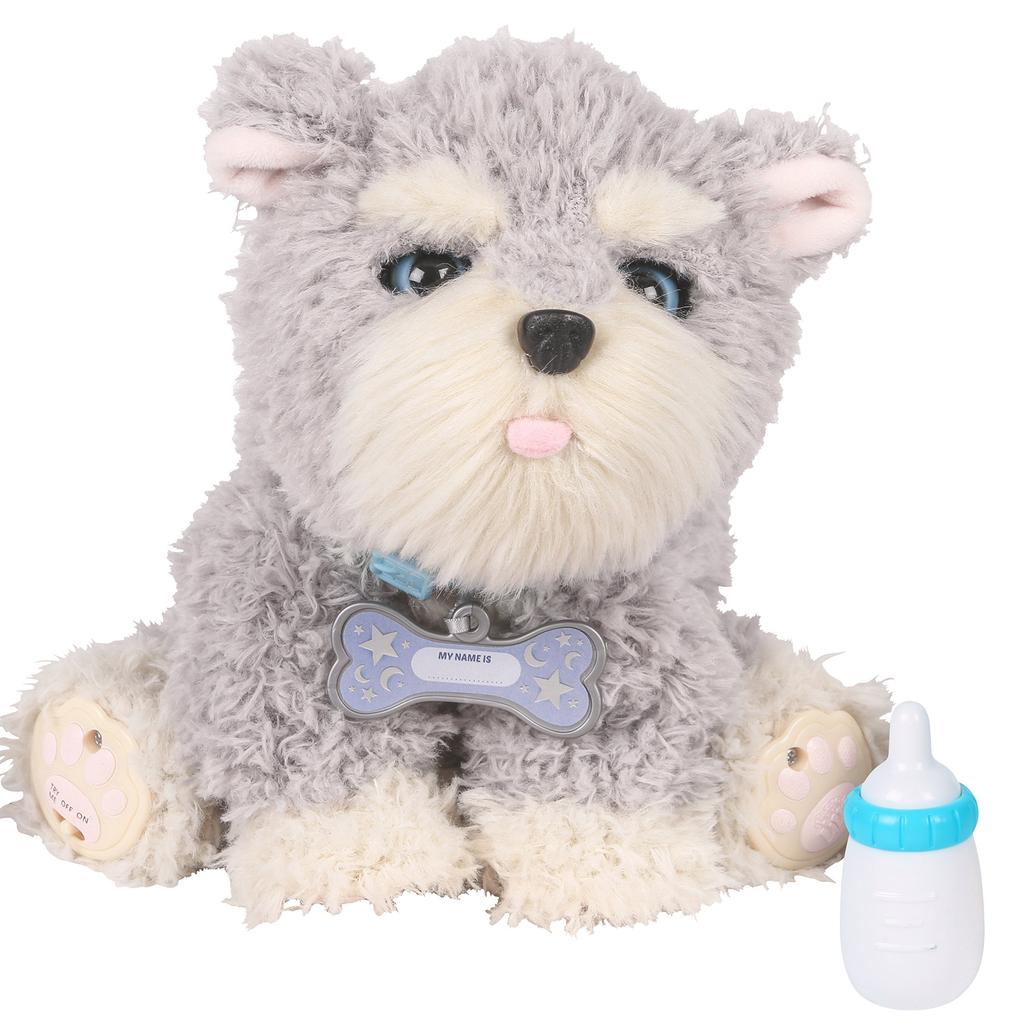 RANGS Japan My Dream Puppy Verlosungen