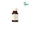 SKINFOOD Pantothenic Water Parsley Smashing Powder 15ml