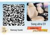 BYD Song Ultra EV All-Season Car Seat Cushion Set - Full Coverage
