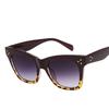 Latest Ladies Oversized Frames Cat Eyes Sun Glasses Fashion Ladies's Sun Glasses Vintage Gents UV Protective Goggles UV400 Eyewear