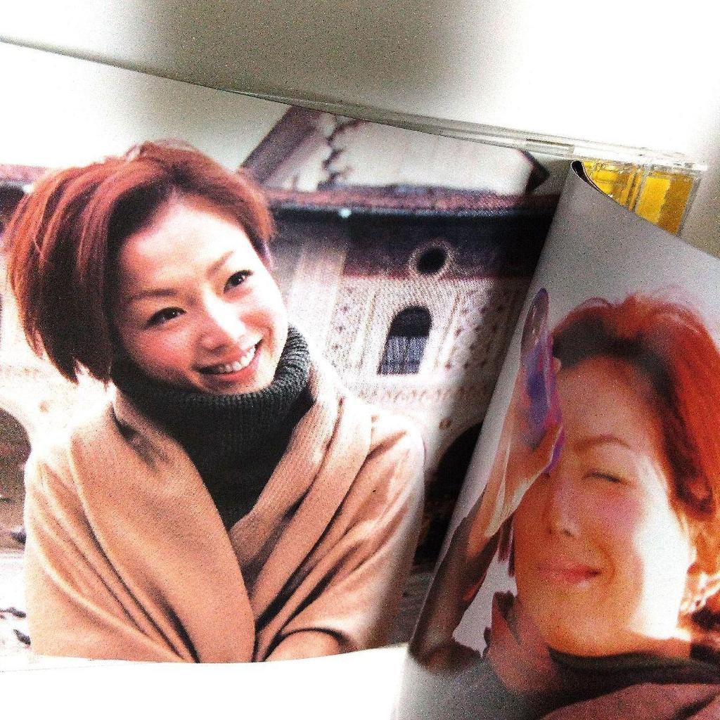 [USED] Marry a Rich Man AVCD Sammy Chen Asia