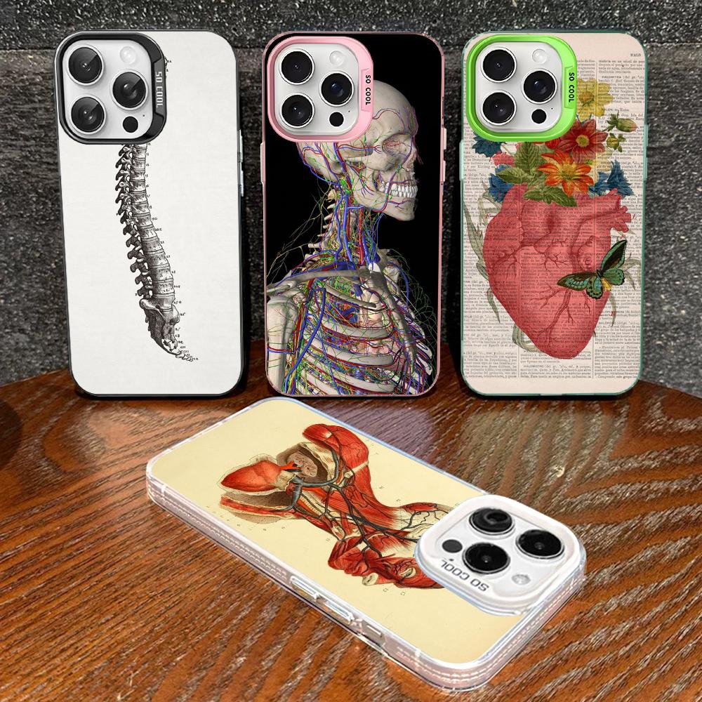 Medical Human Anatomy Phone Case For IPhone 16 15 14 13 12 11 Pro Max X XR XSMAX 8 7 Plus Matte Shockproof Back Cover
